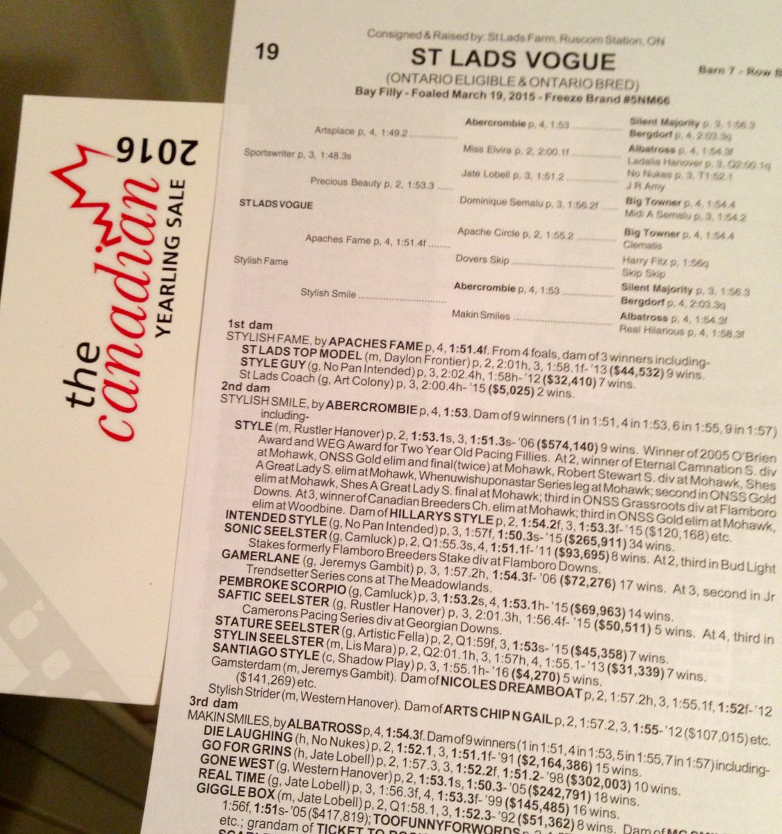 Santiago_Style's tweet photo. Hay…My #Sportswriter niece “St Lads Vogue”🐴 is in #CanadianYearlingSale too! #HarnessRacing @Mozartsplace @AprilFuel https://t.co/viV5BCSvBY