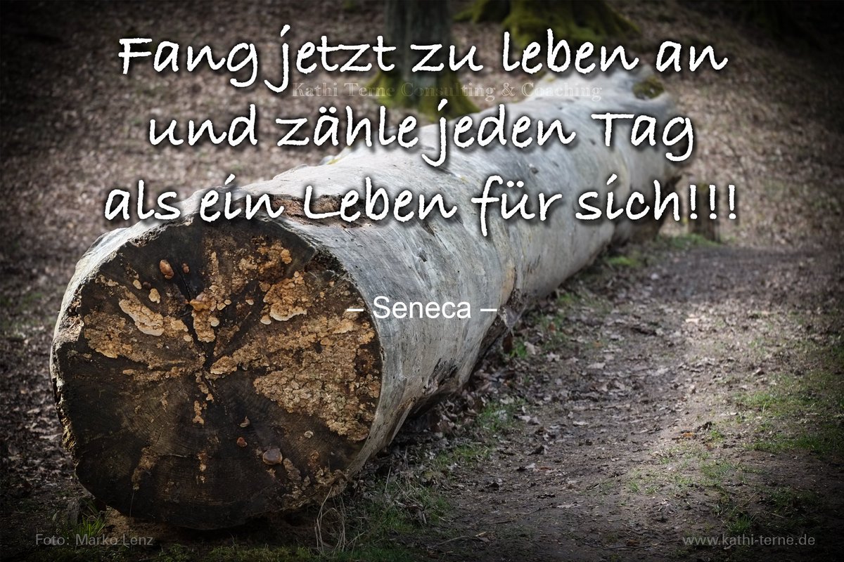 #motivation des Tages "Fang zu leben an"
#coaching #kreativität #business #Burnout #karriere #job