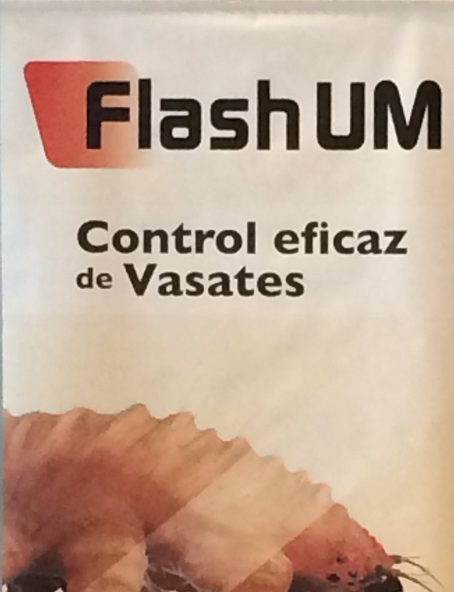 RA_ComunicAgroA's tweet photo. #Flash UM: nuevo formulado para control de #Vasates (aculops lycopersici) en #tomate. Marta Ruiz G. @Sipcam_es https://t.co/zpLwGkRXeB