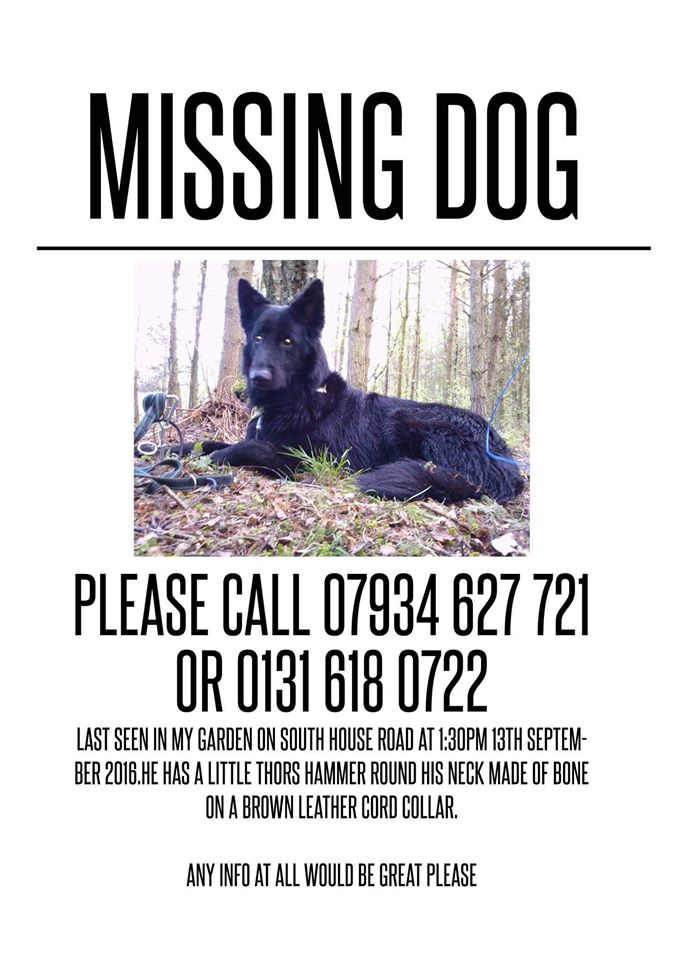 AlbaWebHosting's tweet image. Please share!