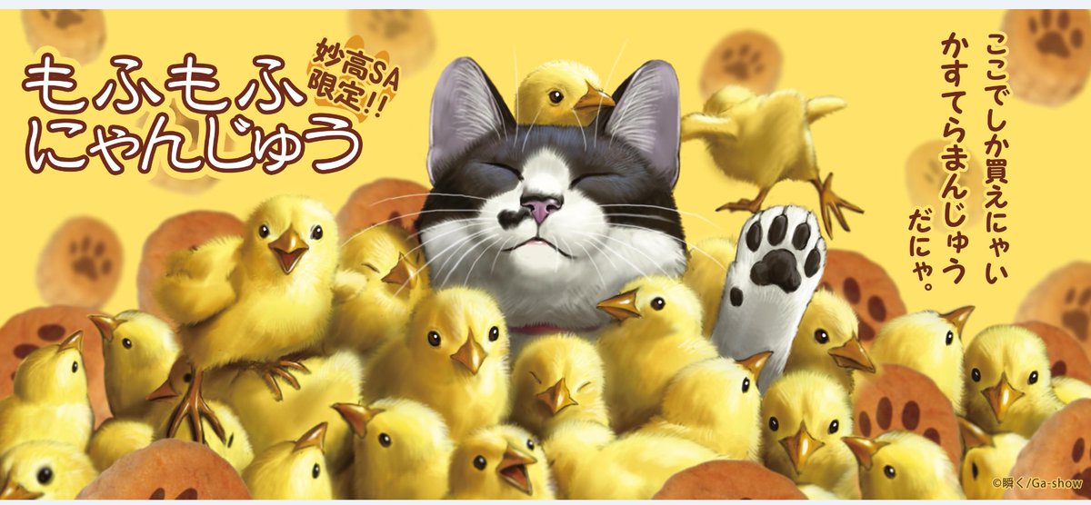 瞬くの猫グッズ販売中！！ 妙高SA（上信越自動車道）限定で 「かすてら