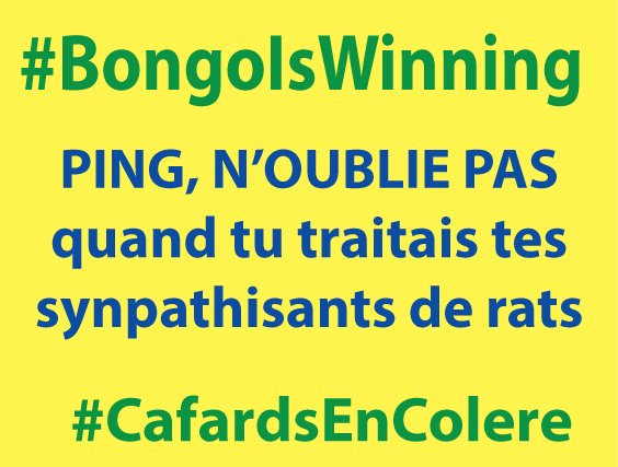 Difloela's tweet photo. #BongoIsWinning #PingIsCheating #JeanPingcVoler #CafardEnColere #SereinCommePing mais #JeanFlippe https://t.co/GzXMc9rCvs