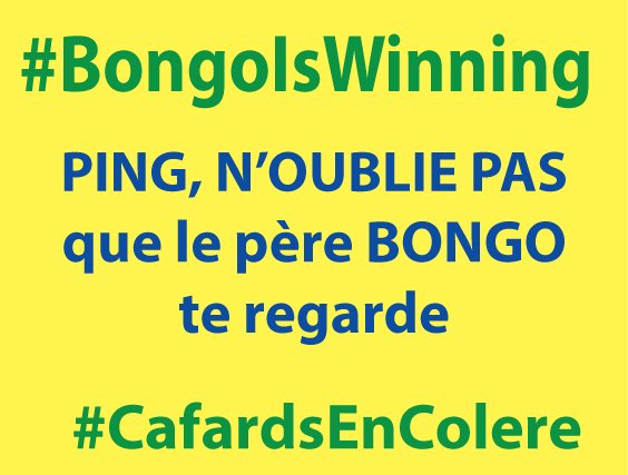 #BongoIsWinning #PingIsCheating #JeanPingcVoler #CafardEnColere #SereinCommePing mais #JeanFlippe