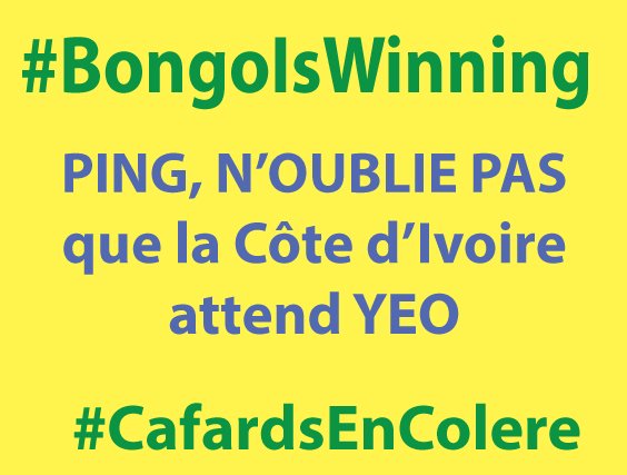 #BongoIsWinning #PingIsCheating #JeanPingcVoler #CafardEnColere #SereinCommePing mais #JeanFlippe
