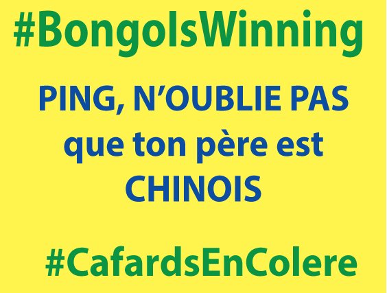 Difloela's tweet photo. #BongoIsWinning #PingIsCheating #JeanPingcVoler #CafardEnColere #Gabon #SereinCommePing mais #JeanFlippe https://t.co/gPspLCYDTH
