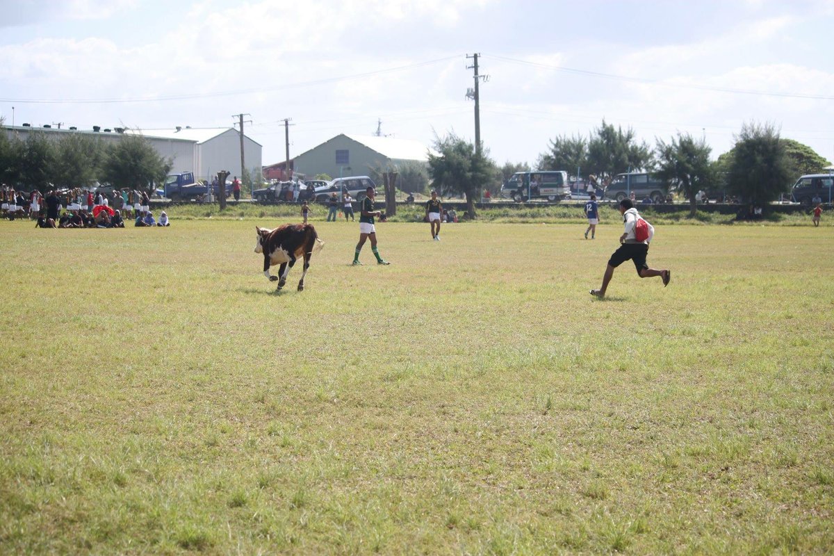 Youth in Union tweet media