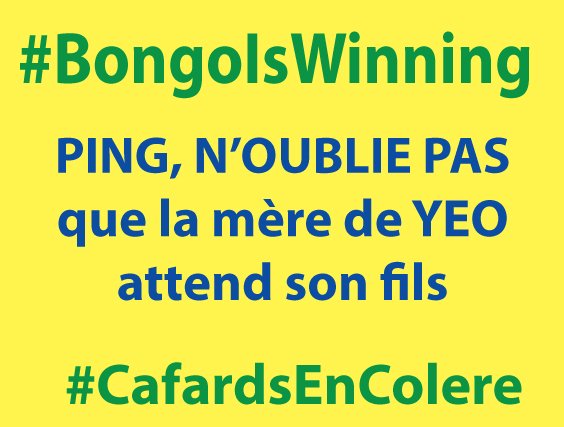 Difloela's tweet photo. #BongoIsWinning #PingIsCheating #JeanPingcVoler #CafardEnColere #SereinCommePing mais #JeanFlippe https://t.co/BvuLkPcKjq