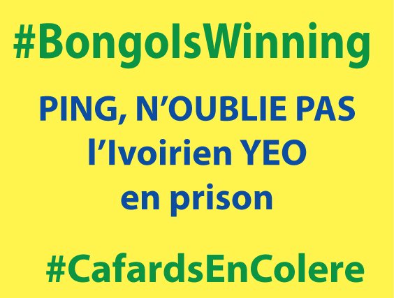 #BongoIsWinning #PingIsCheating #JeanPingcVoler #CafardEnColere #SereinCommePing mais #JeanFlippe