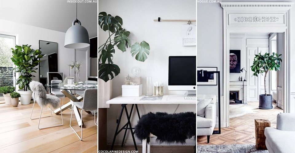 SheerLuxe's tweet image. A simple trick to freshen your #Interiors #FreshSpace | bit.ly/2cXidKT