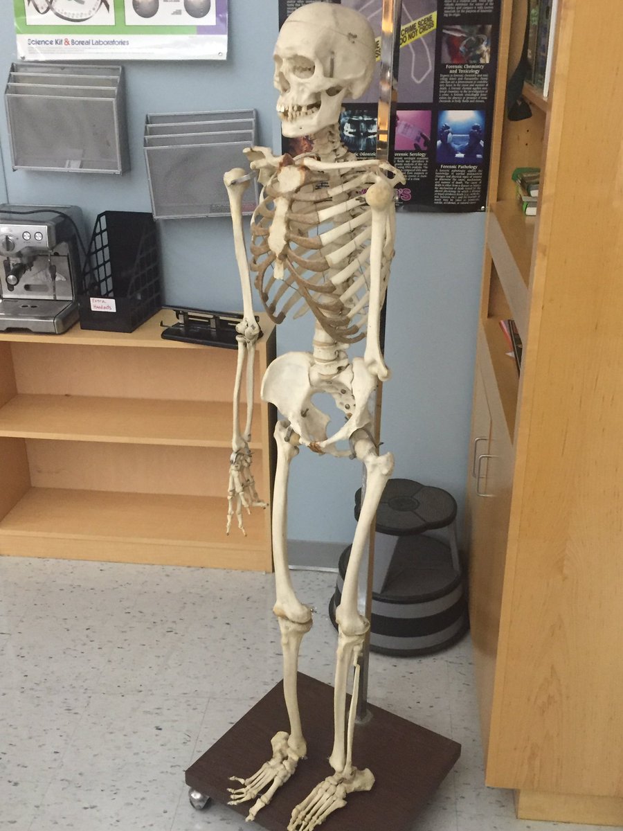 Student donation this morning. Apparently they got tired of cleaning around it in their living room? Cool family!