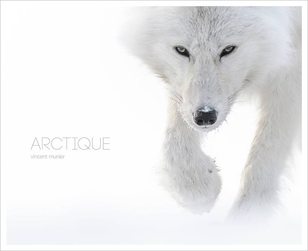 ARlemag's tweet photo. « Mon père m'a appris que si l'on doit déranger pour une photo on ne fait pas la photo... » @vincentmunier88 https://t.co/OeB4d6UePP
