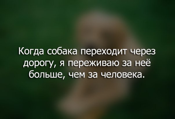 drunktwi's tweet photo. Есть такое https://t.co/ugYdDMjSpv