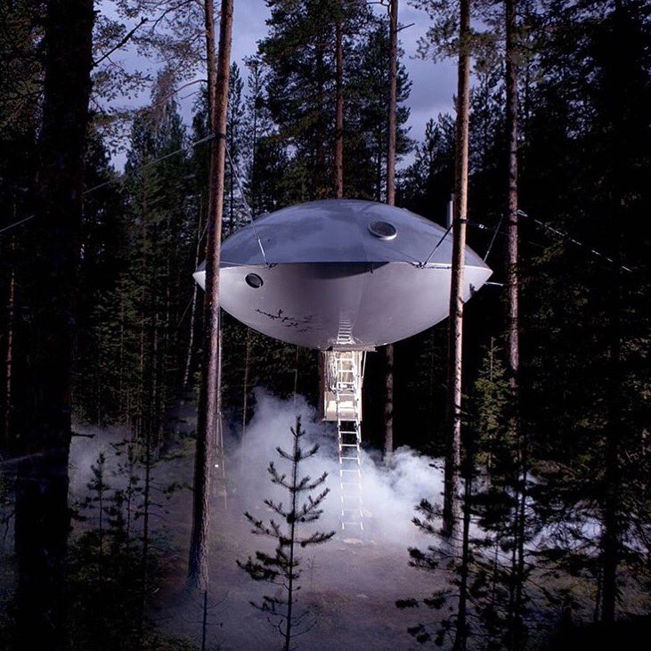 SeeSweden_'s tweet photo. When your #hotel room is a #UFO 👽🙈 The rooms at @treehotel in @SwedishLapland are out of this world #visitsweden https://t.co/aiUo6GQRBd