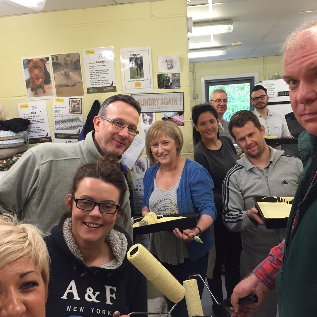 L40SNO's tweet photo. How many NBS FPM's can you fit into the laundry room at Dog's Trust! 😊🐾🐶 @GiffordRoge @NWNowFP  #citizenshipday https://t.co/o6wGgXLqHl