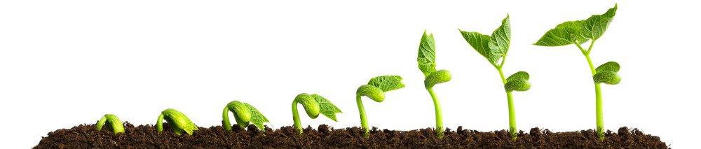 Scientificast's tweet image. Una banca della biodiversità scientificast.it/2016/09/14/ban…