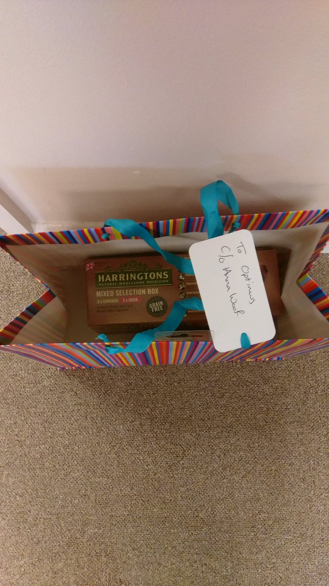 anna_ambitionp3's tweet photo. Aww thanks @P3Charity for Optimus' #p3pets prize 😍😍😍
#winner #optimuswoof https://t.co/zLpGdY74Y2