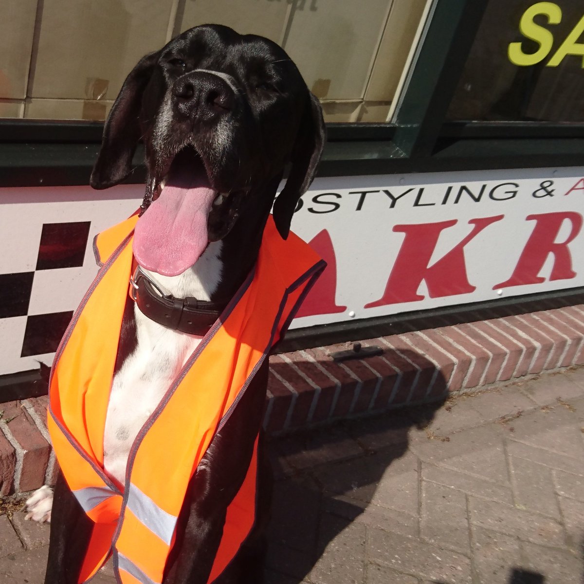 <a href="/_LakroStyling_/">Lakro Autostyling</a>