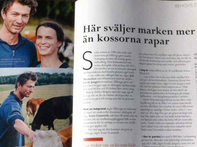 Riktigt intressant artikel i <a href="/Ekolantbrukarna/">Ekolantbrukarna</a> om #mjölk fr 100% #grovfoder #klimat #fleckvieh #AlanSavory