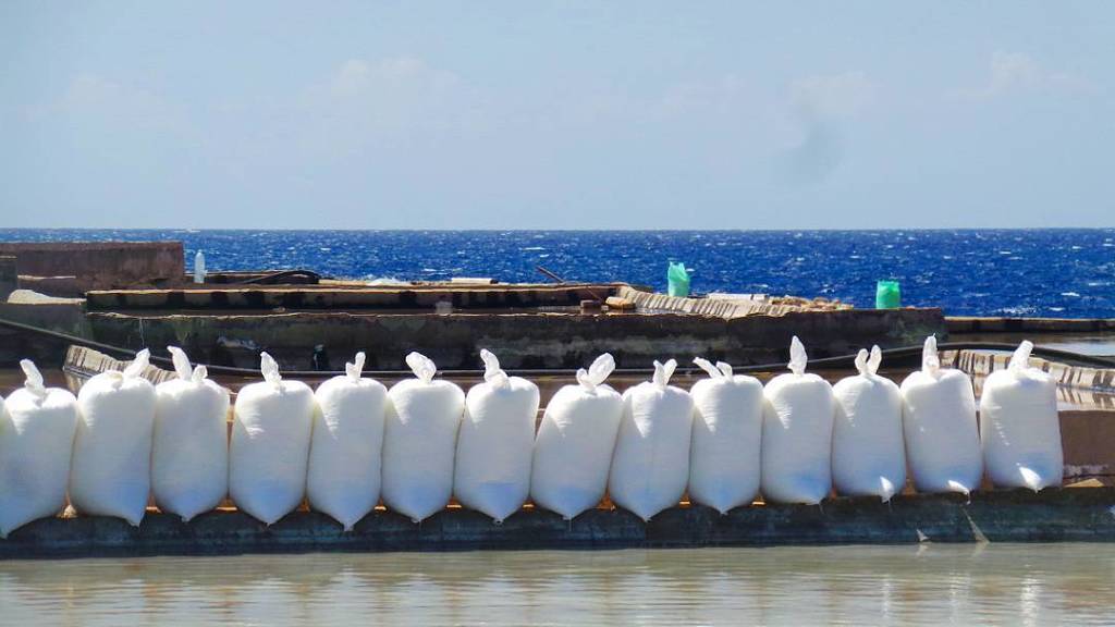 LebanonEguide's tweet photo. Cultivating salt in #Anehh #liveloveanfeh #lebanon https://t.co/2WCILAogxq https://t.co/0nmoaMR7lN
