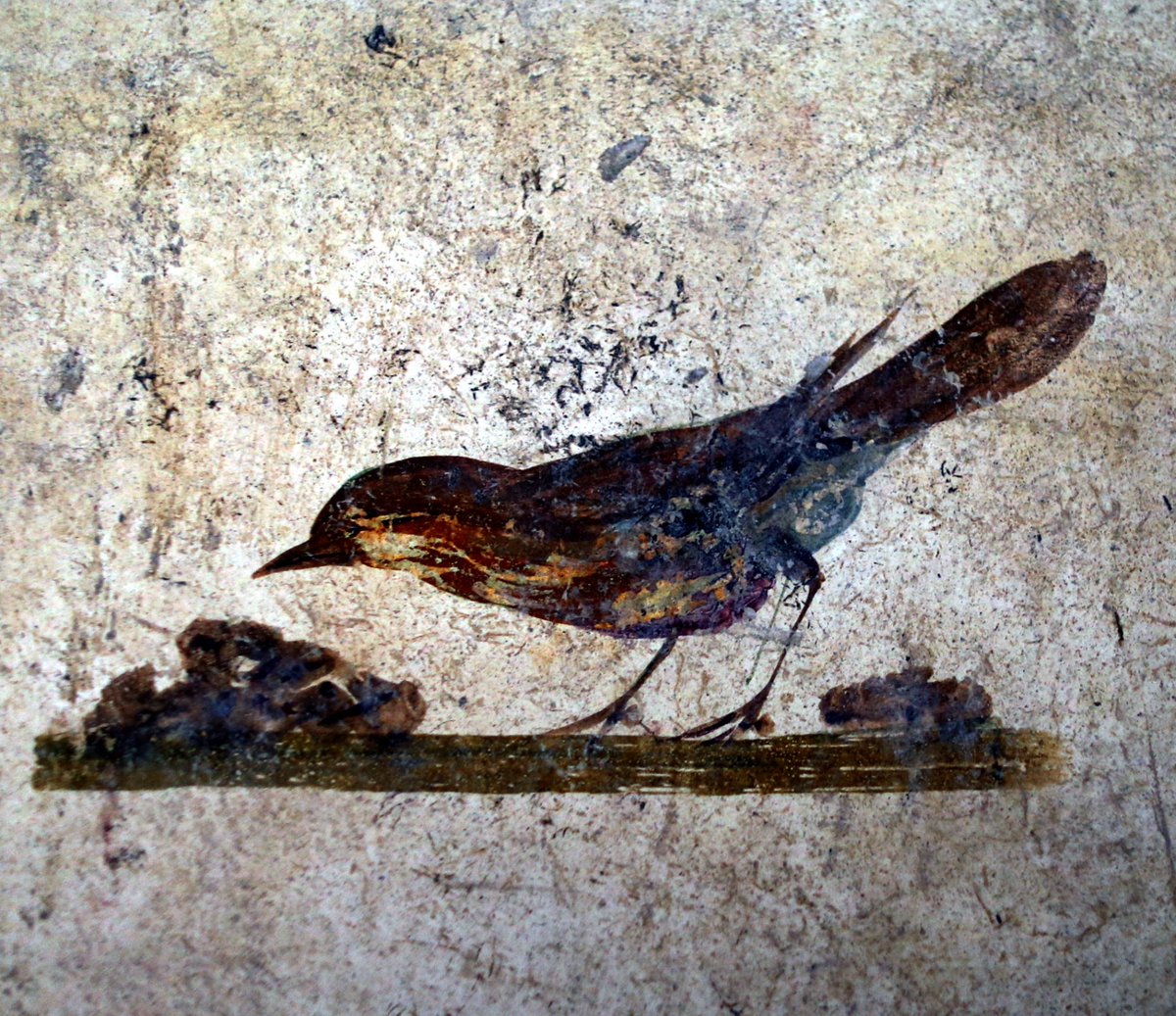 pompeii_sites's tweet photo. Affresco che ritrae un uccellino sulle pareti della Villa di Arianna a Castellammare di Stabia. #Pompei #Tempusvita https://t.co/zZOJNDtcRq