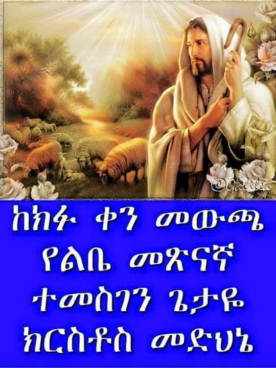 ejigayhu's tweet photo. አሜን የሀያላን  ሀያል  እግዚአብሔር   ይመስገን!!! https://t.co/bjXgnt6URn