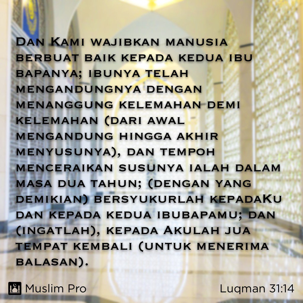 Quote Tentang Ibu Hamil Kumpulan quote kata bijak