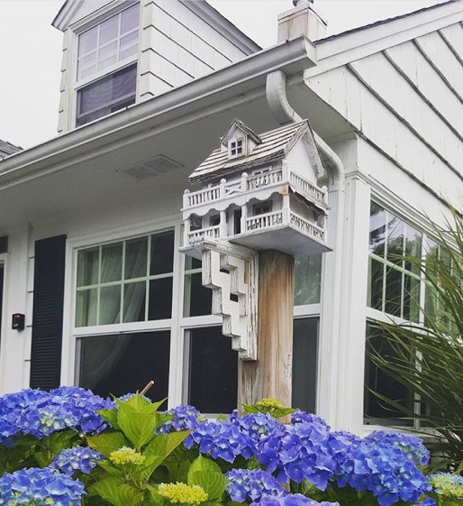 HomeBazaar's tweet photo. #HomeBazaar Novelty Cottage #Birdhouse is a customer favoite!
#happybirding #onlineshopping
https://t.co/eUFzTGLh8w https://t.co/M900NKPxhS