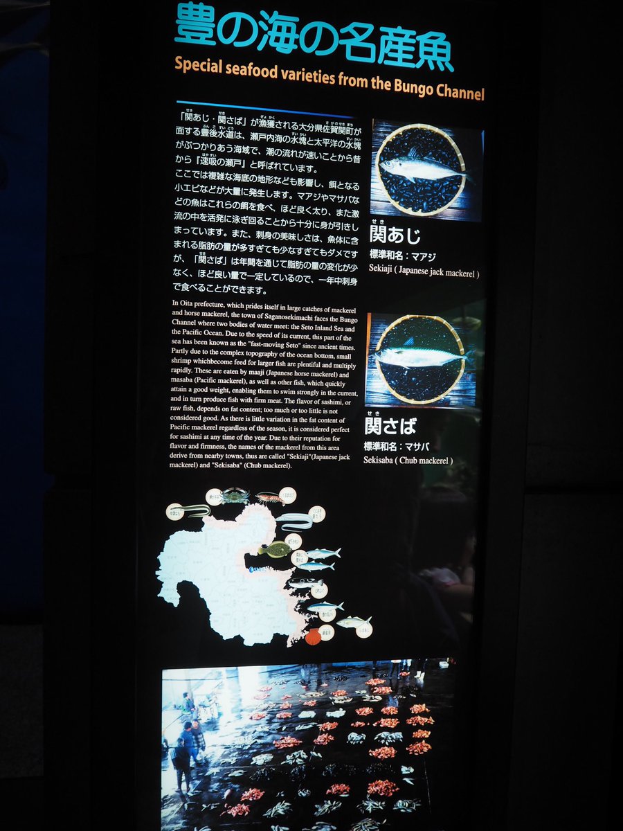 ツク之助 フトアゴ絵本発売中 九州の水族館はキャプションに命をかけてるのか うみたまごもキャプションが詳しく書かれてあり 面白い 水槽のテーマ付けやタイトルもロマンチックだったり面白かったり クラゲ水槽は生態まで図付きで詳しく載っています ツク之助 フトアゴ絵本発売中 九州の水族館はキャプションに命をかけてるのか うみたまごもキャプションが詳しく書かれてあり 面白い 水槽のテーマ付けやタイトルもロマンチックだったり面白かったり クラゲ水槽は生態まで図付きで詳しく載っています