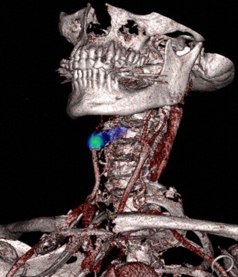 wellcomeimages's tweet photo. Check back tomorrow to find out who won the Wellcome Image Awards 2016 public vote! Who do you think won? #2016WIA https://t.co/m8vFzmMzz2