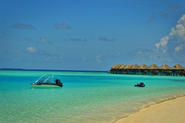 wellnessestelle's tweet photo. New artwork for sale! - "Beach at Vilu Reef Maldives" - https://t.co/YxjF60uzFM @fineartamerica https://t.co/xp9mWefttO
