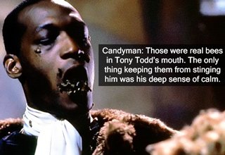 Brittwolf24's tweet image. @xanderberkeley This takes courage, I'd have been scared to death. Props to @TonyTodd54 for this amazing stunt.