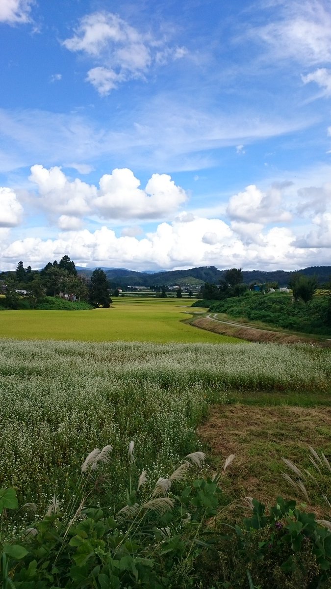 東北 大好き！