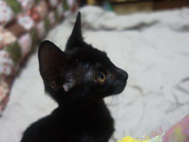 dotkavi's tweet image. ㅋㅋㅋㅋ 입모양 귀여워