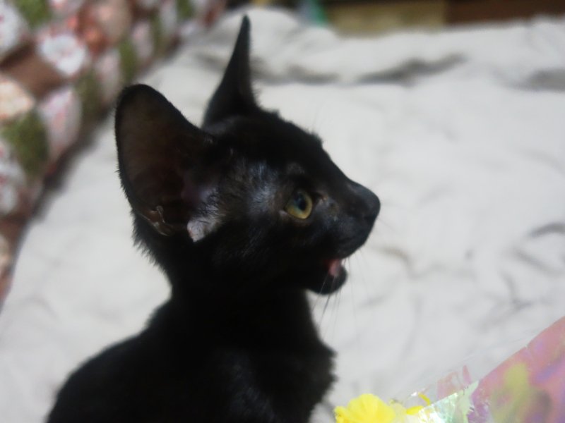 dotkavi's tweet image. ㅋㅋㅋㅋ 입모양 귀여워