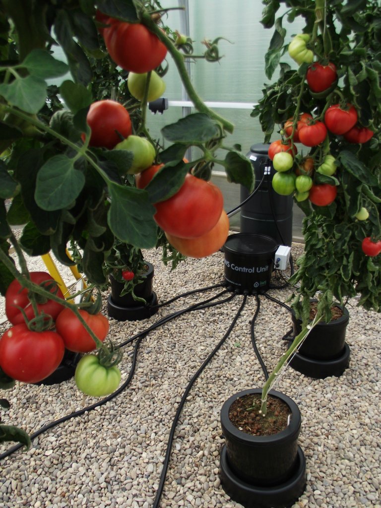 NutGrowSystems's tweet photo. Get your hands on your very own IWS system -  visit one of our top hydroponic retailers https://t.co/9iWsYfkPmj https://t.co/wu1Utmadc7