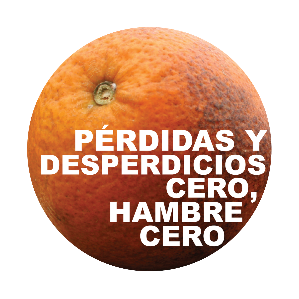 Argentina desperdicia 16 millones de toneladas de alimentos por año: 12,5% de la producción nacional #NoDesperdicio