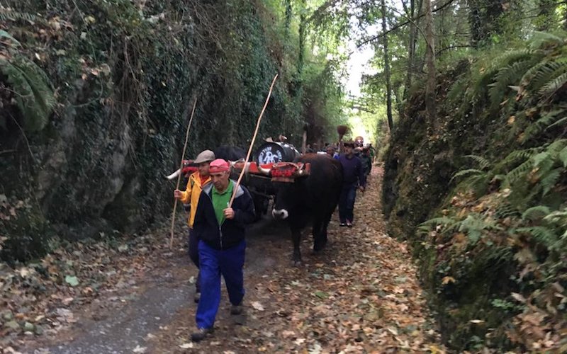 pasaiahitza's tweet photo. Larunbatean @Albaola-ra iritsiko dira gurdiak; bihartik aurrera Gipuzkoan barna: https://t.co/hrjWa7Ptgn #pasaia https://t.co/pgf1V3Uv9O