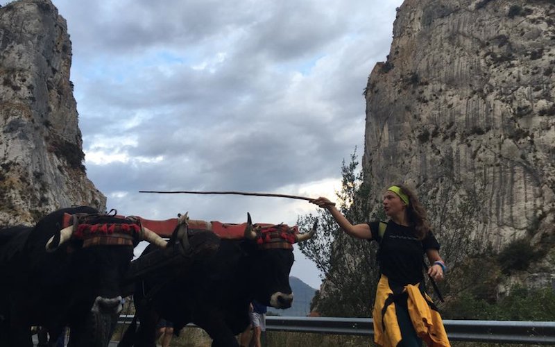 pasaiahitza's tweet photo. Larunbatean @Albaola-ra iritsiko dira gurdiak; bihartik aurrera Gipuzkoan barna: https://t.co/hrjWa7Ptgn #pasaia https://t.co/pgf1V3Uv9O