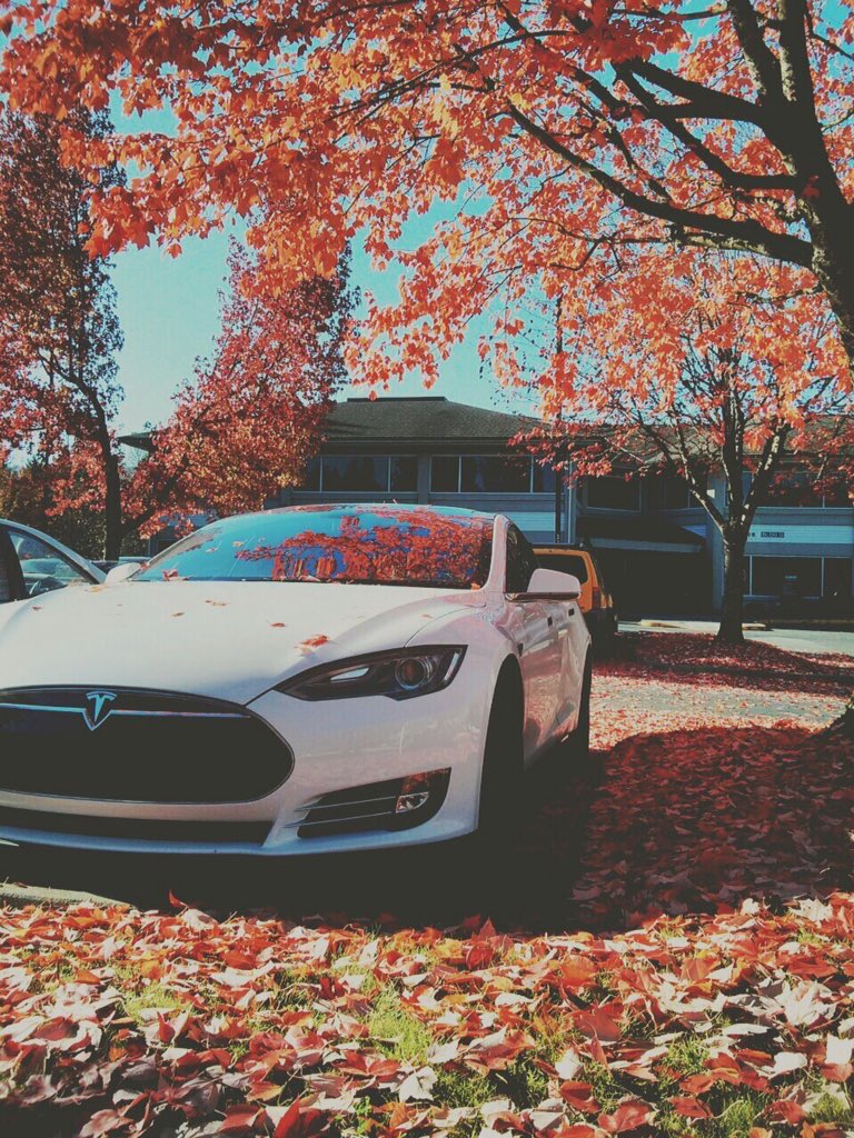 Sweater Weather