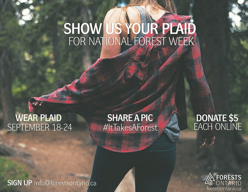 forestscanada's tweet photo. Show us your plaid for #NationalForestWeek! Share a pic with #ItTakesAForest &amp; donate online https://t.co/GFR1KvkRWf https://t.co/VME4XhH8Mj
