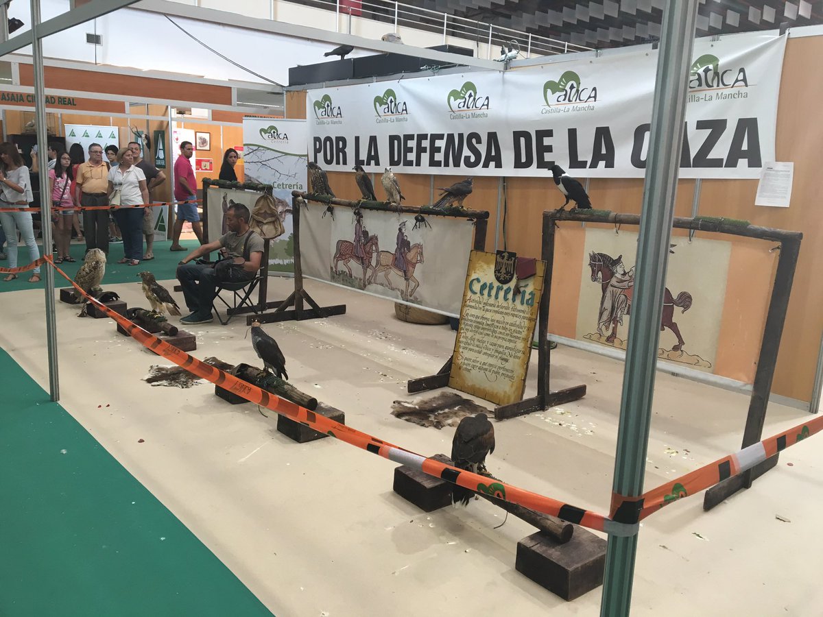 Actividades y exposiciones de arte y cultura en Fecircatur 2016