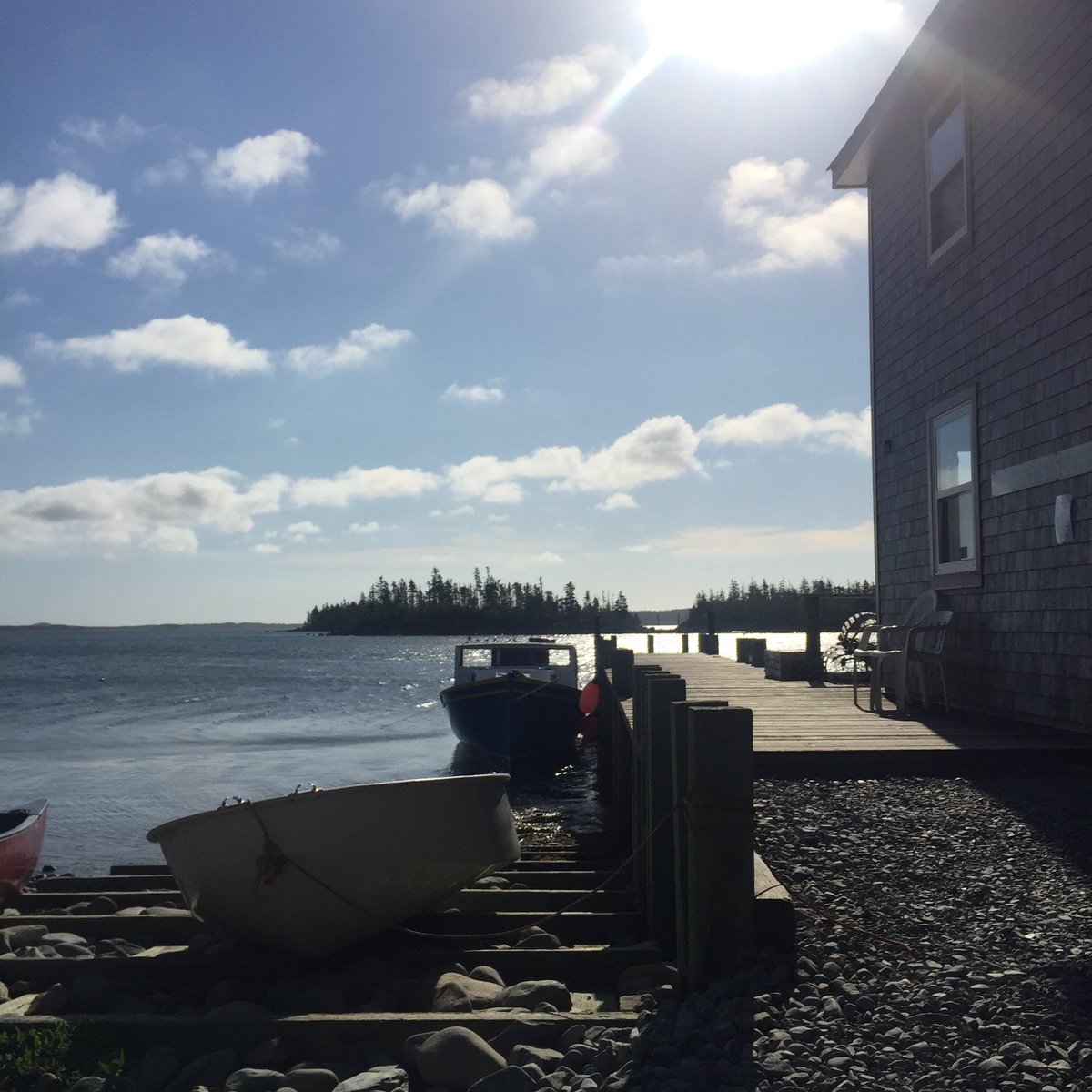 shortpresents's tweet photo. "If we don't do it, it'll never happen" Exploring #100wildislands today #friendsofthewild https://t.co/5J0J5Hj52M https://t.co/bPg1tezWUi