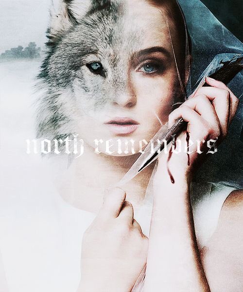 Sansa Stark. tweet media