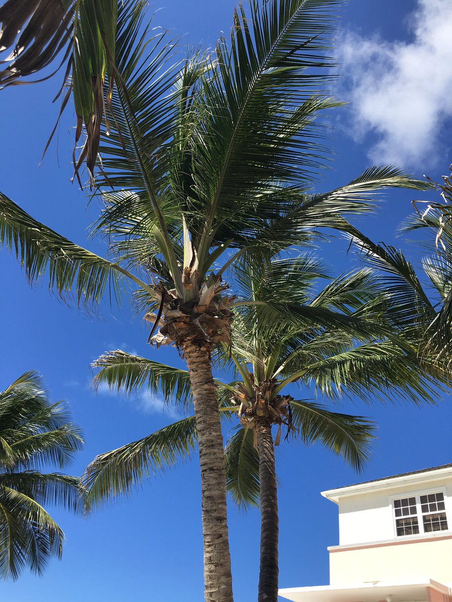 Paulgarner93's tweet photo. God this holiday business is hard work.  🌎☀️🇧🇧🌴 https://t.co/wuAl2DGW7Y