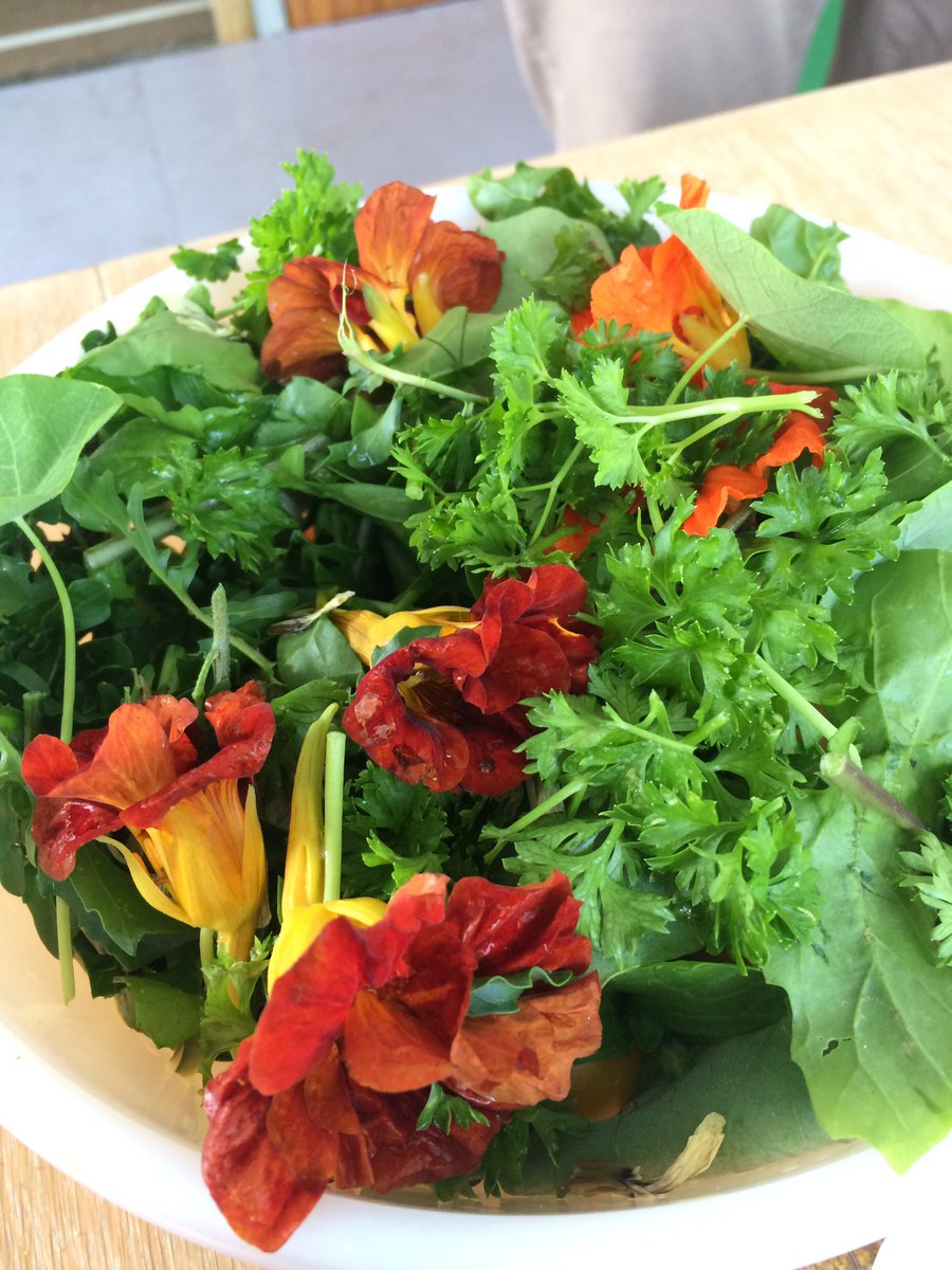 TheTransferBrum's tweet image. #sharedlunch in #TheTransfer @OldPrintWorks again. One of the many perks of #coworking