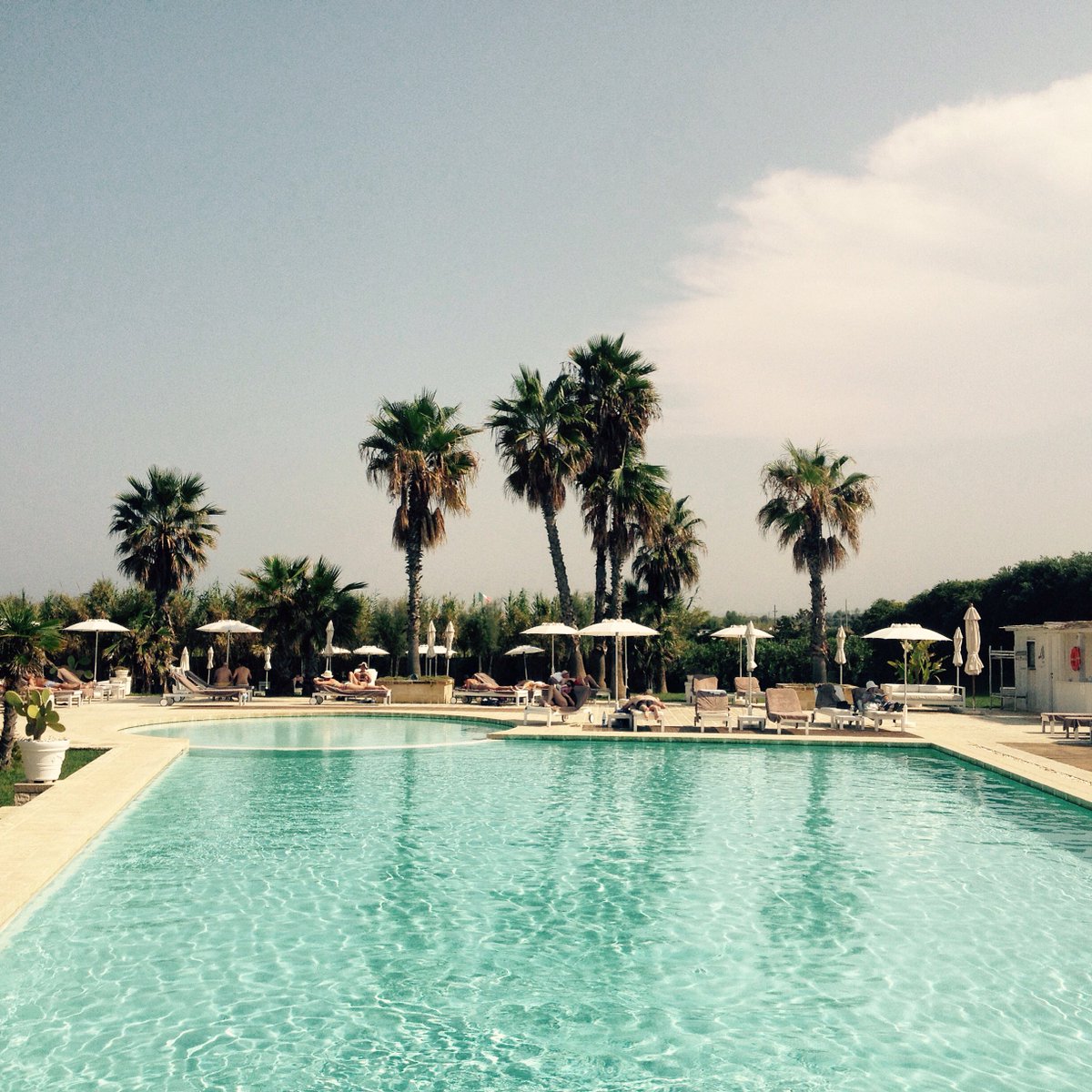 CanneBianche's tweet photo. Stunning pool view ! E N D L E S S - S U M M E R !!!!
@Bellavitainpugl @BeautifulPuglia 
#puglife #labellevie https://t.co/aNwE18nzHj