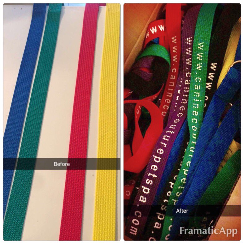 Kustom_Connect's tweet photo. Everything Kustom
#customdogleash #kustomconnection https://t.co/gk3YaQsVjl