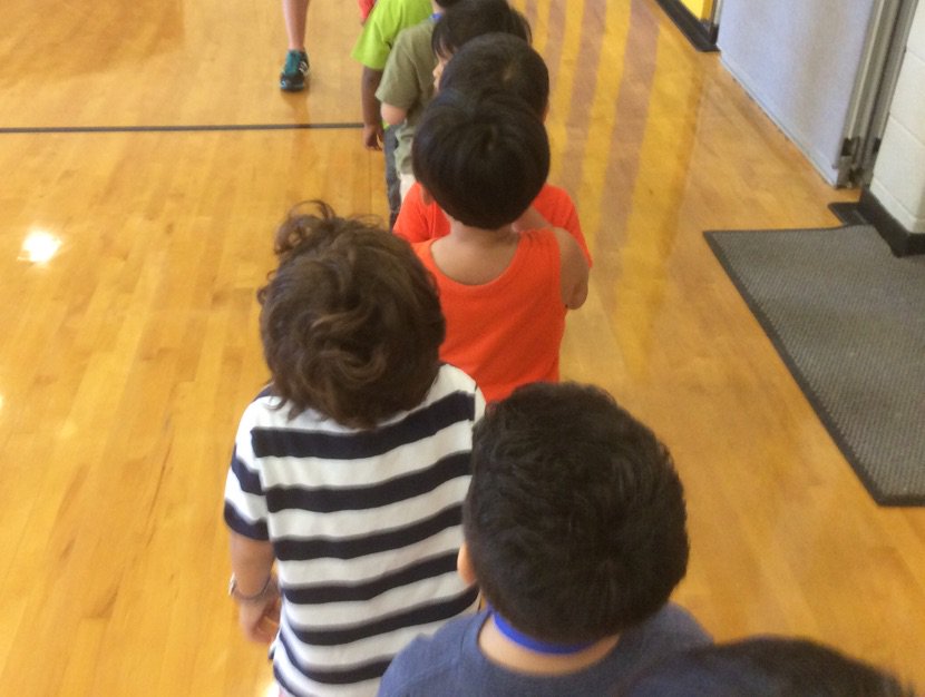 ATS_PE_Rocks's tweet photo. Pre K having fun in PE! https://t.co/8Ri3mALYbJ