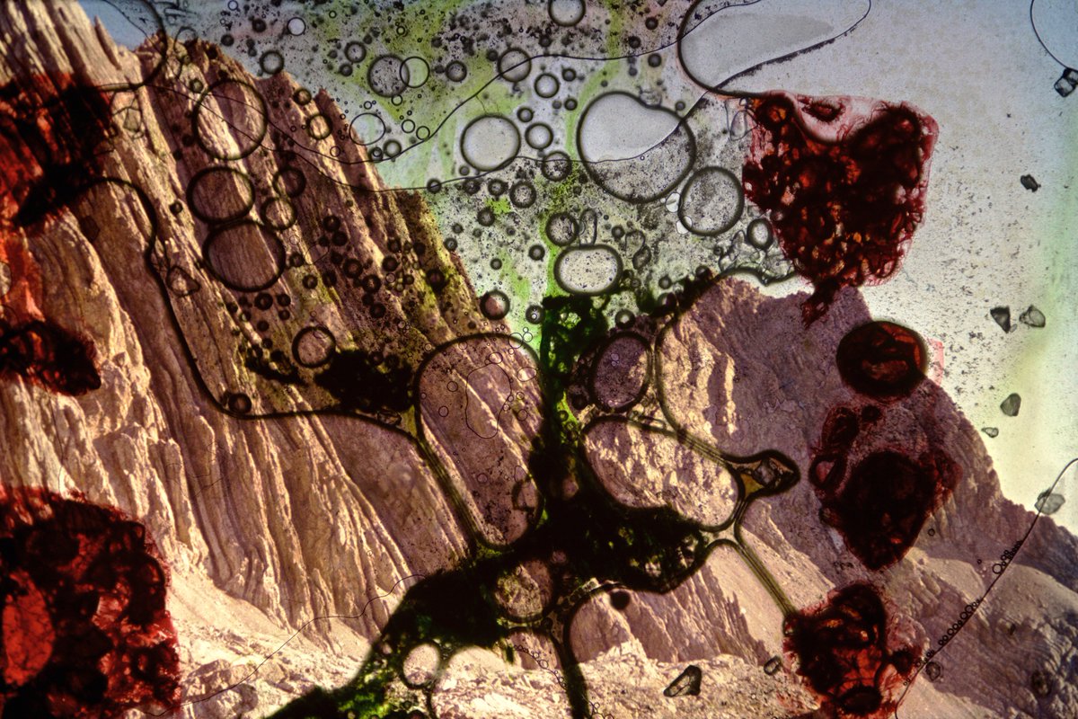 We are please to announce our participation to Unseen Photo Fair 2016. Special exhibition of Peer Veneman.