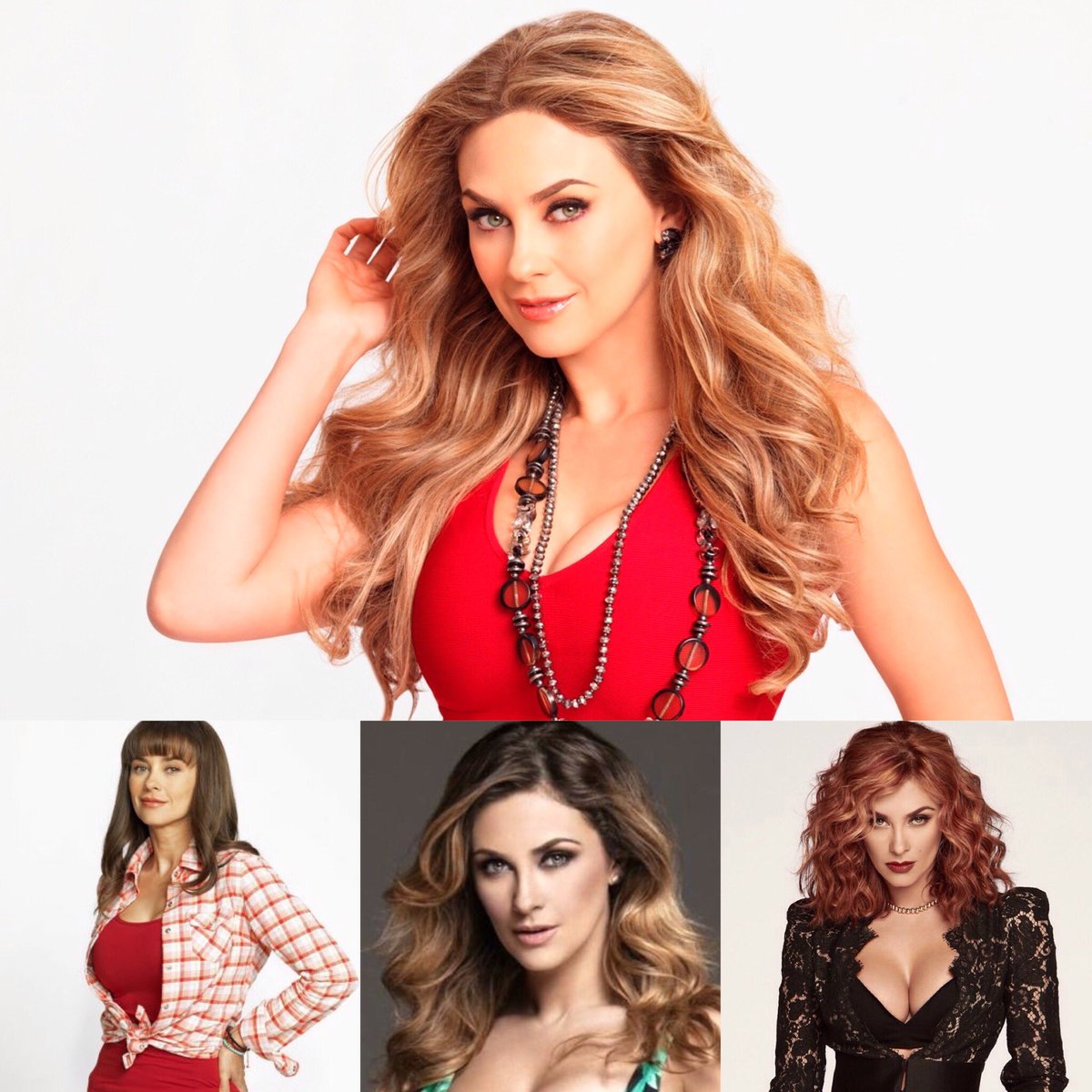 Fans Tln Telemundo tweet media